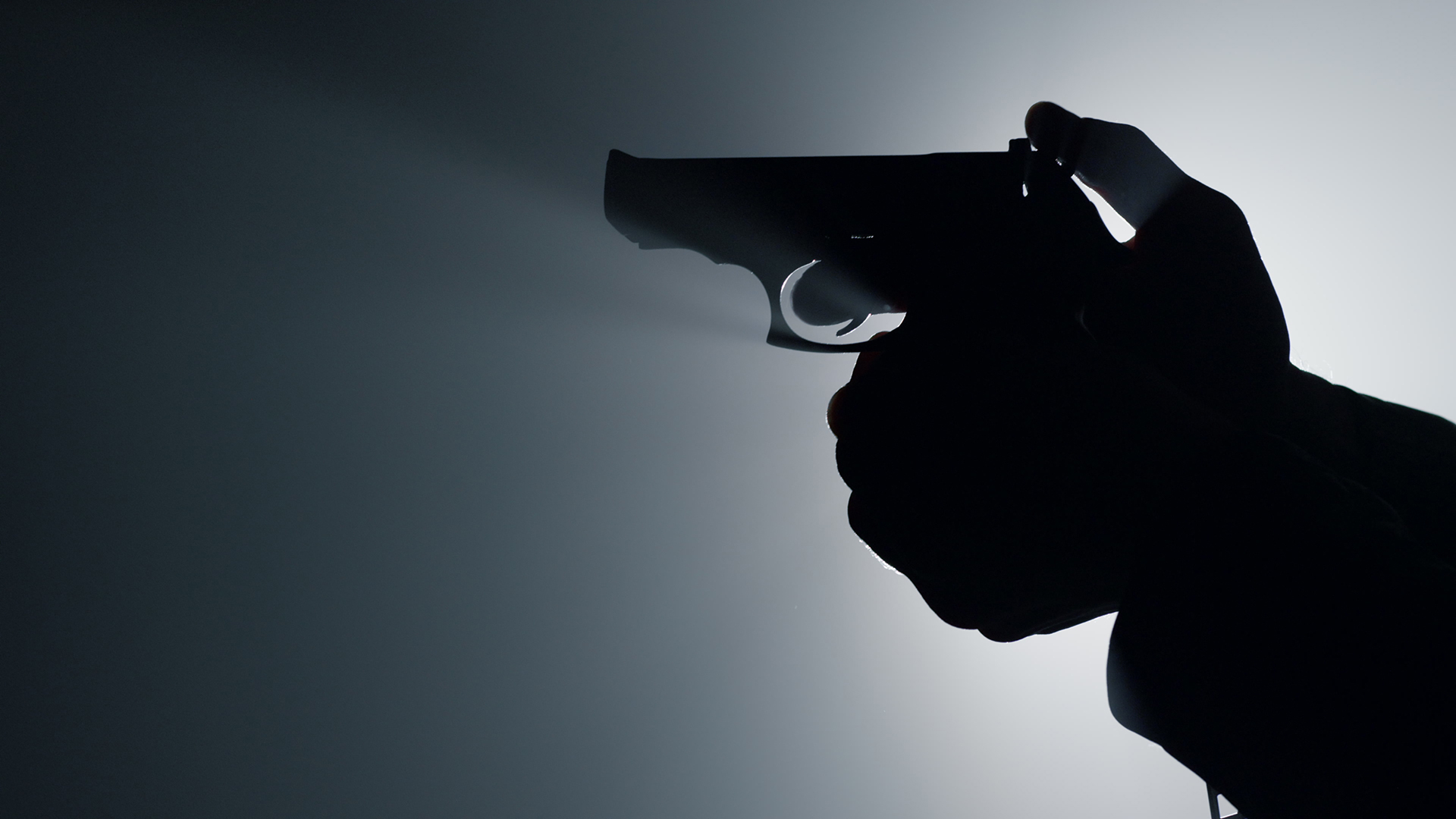 gun photo